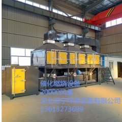 河南王经理定购的30000风量RCO催化燃烧设备发货